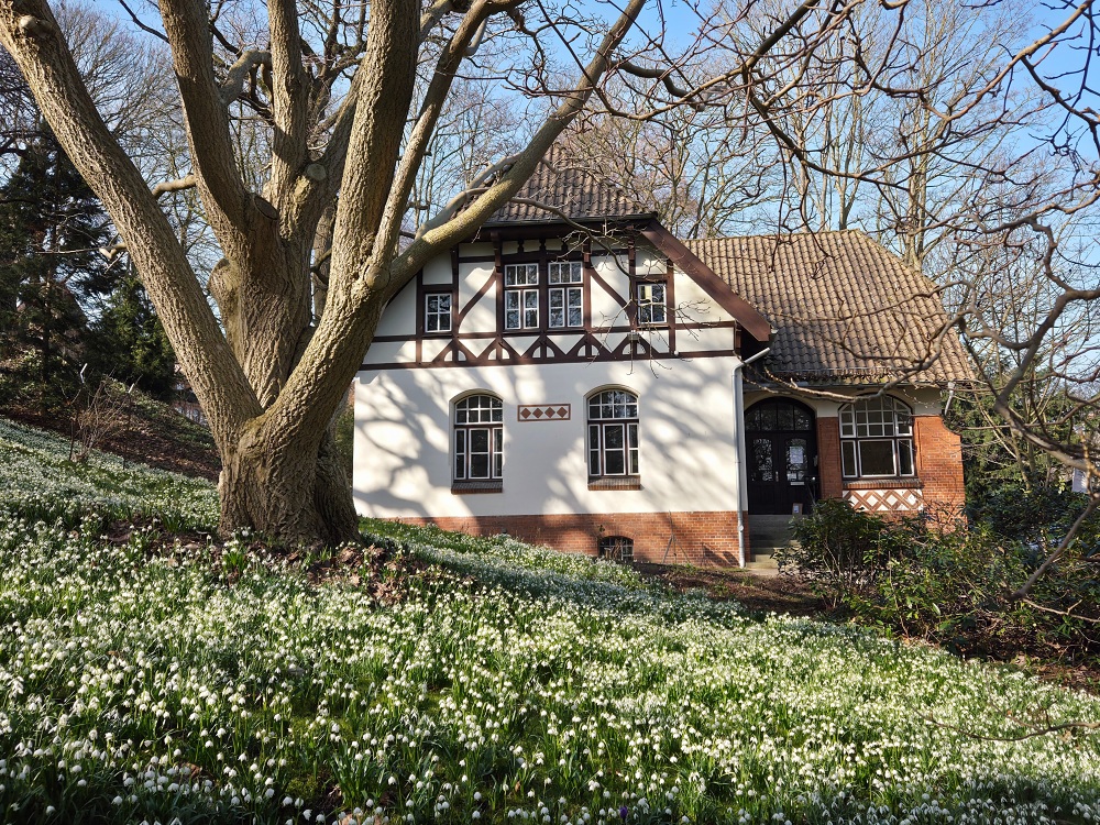 »Wortlaut« – Bühne frei für neue Stimmen